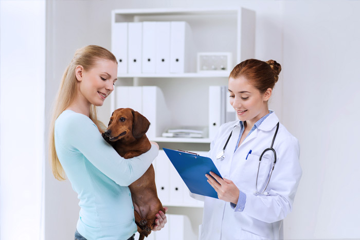 ЭЦП для оформления ветеринарных сертификатов (ГИС Меркурий) в Ялте